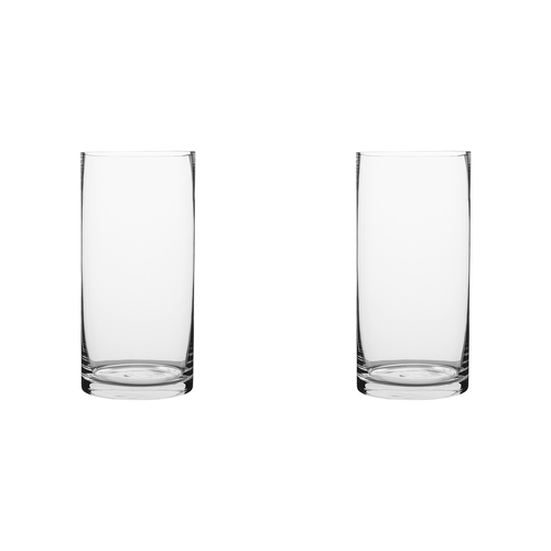 2PK Ecology Fleur Cylinder Glass Vase Decorative Flower Vessel 25cm