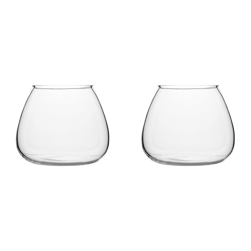 2PK Ecology Fleur Bouquet Glass Vase Decorative Flower Vessel 15cm