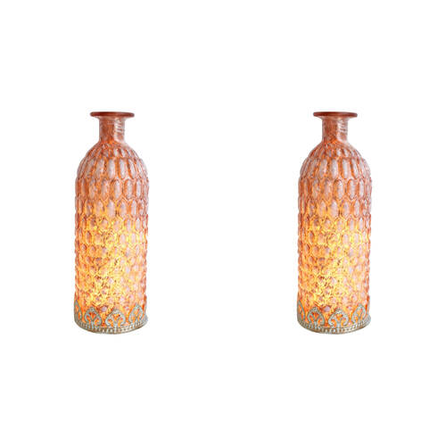 2PK LVD Glass Lantern LED Bottle Home/Lounge Decor 24.5cm Terra