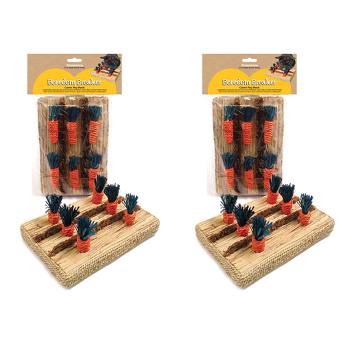 2PK Rosewood 25x15cm Carrot Play Patch Rabbit Pet Chew/Scratch Activity Toy Red