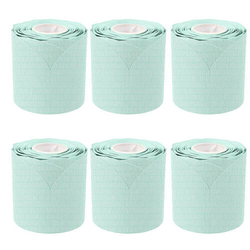 6PK Learning Can Be Fun Mint Patterned Rolled Scalloped Border 6.5 x 15.2cm