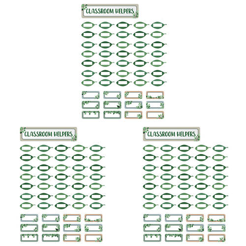3x 48pc Learning Can Be Fun Class Helpers Bulletin Board Set Eucalyptus