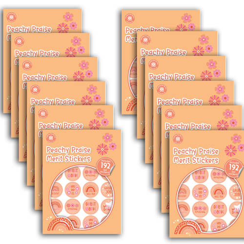 12x 192pc Learning Can Be Fun Peachy Praise Merit Sticker Book 28mm