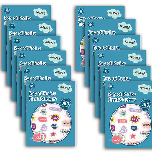 12x 240pc Learning Can Be Fun Pop of Praise Merit Sticker Book Multicoloured