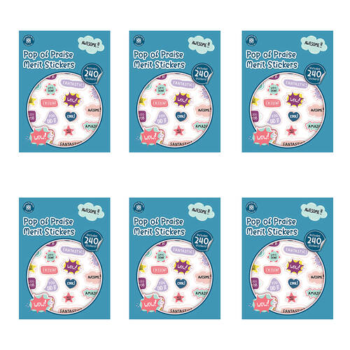 6x 240pc Learning Can Be Fun Pop of Praise Merit Sticker Book Multicoloured