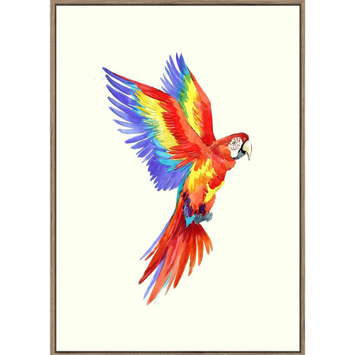 Rayell Framed Kids Artwork Jungle Bird Natural Cream 50x70cm