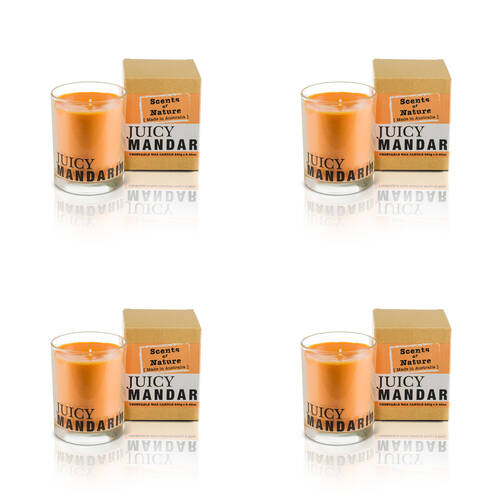 4PK Scents Of Nature Juicy Mandarin Soy Candle Scented 240g