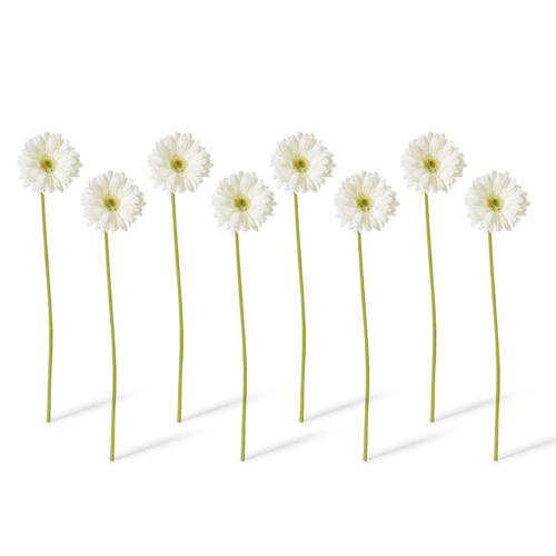 8PK E Style Artificial 53cm Plastic Gerbera Daisy Stem - Off White