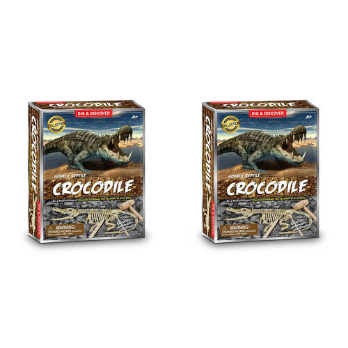 2PK Johnco Aquatic Reptile Crocodile Dig Kit Educational Toy Kids 6y+