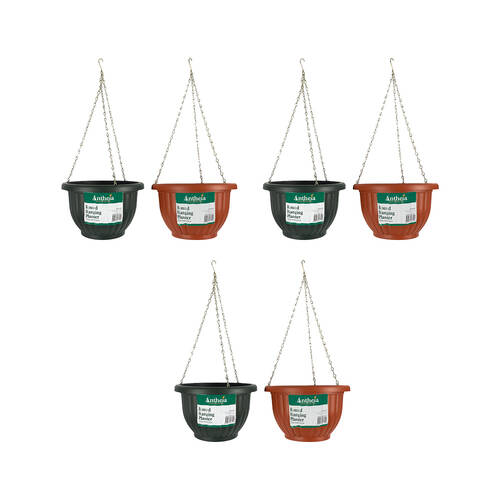 6PK Antheia Green Homewares Round Hanging Garden Pot - Assorted