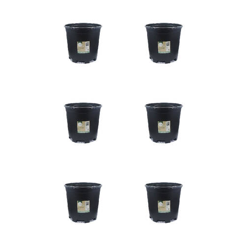 6PK Antheia Green Homewares Plastic Growers Pot Black 22cm