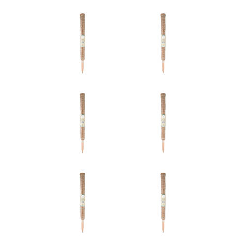 6PK Antheia Green Homewares Coco Fibre Plant Pole 60cm