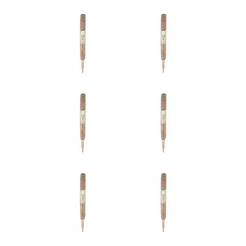 6PK Antheia Green Homewares Coco Fibre Plant Pole 50cm