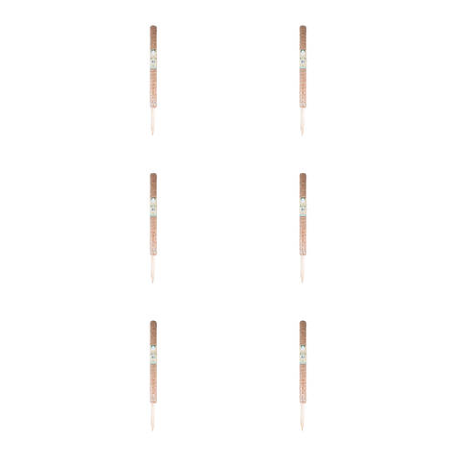 6PK Antheia Green Homewares Coco Fibre Plant Pole 70cm