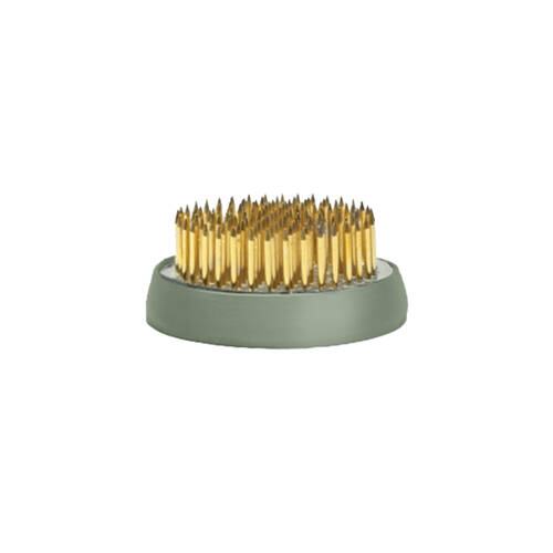 Garden Glory Eucalyptus Flower Frog Spiky Round Base - Medium