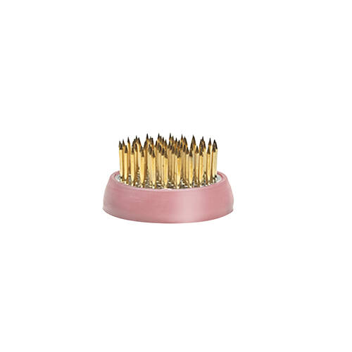 Garden Glory Pink Flower Frog Spiky Round Base - Small