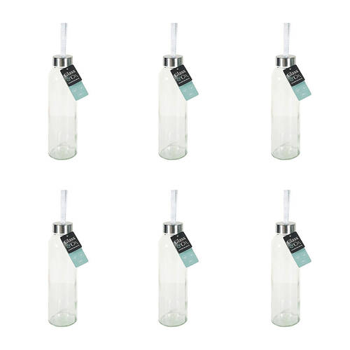 6PK Glass & Co Large Silver Screw Lid Drinking Bottle w/ Handle 500ml Clear