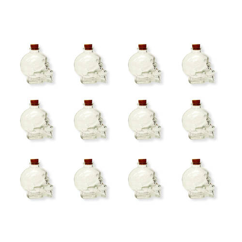 12PK Glass & Co 180ml Small Glass Skull Drinking Bottle - Clear