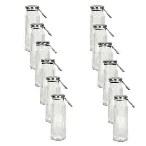 12PK Glass & Co Cleo Round Ribbed Silver Metal Lid Water Bottle 250ml Clear