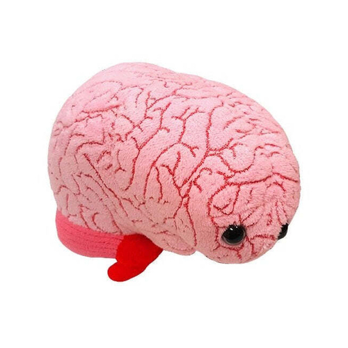 Giant Microbe 16.5cm Brain Organ Soft Stuffed Plush Toy Pink
