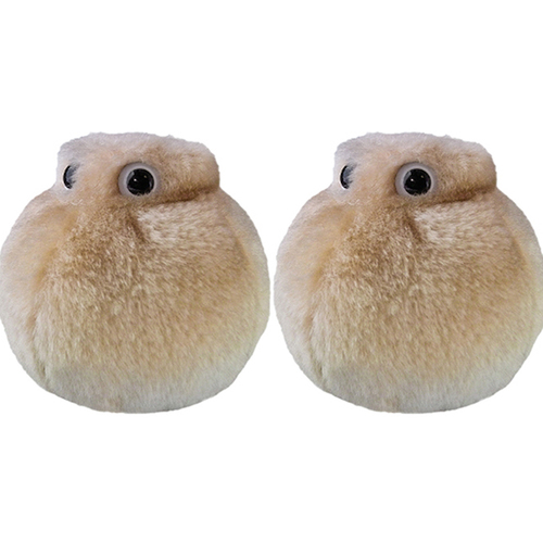 2PK Giant Microbes Fat Cell Soft Stuffed Plush Toy Brown