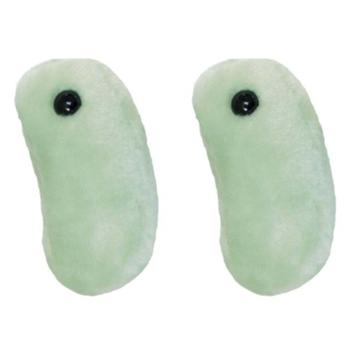 2PK Giant Microbes Flu Influenza Soft Stuffed Plush Toy Green