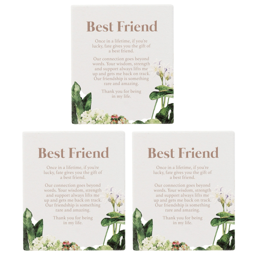 3PK Splosh Ceramic Greenhouse Best Friend Verse Plaque w/ Stand & Hook 12x14cm