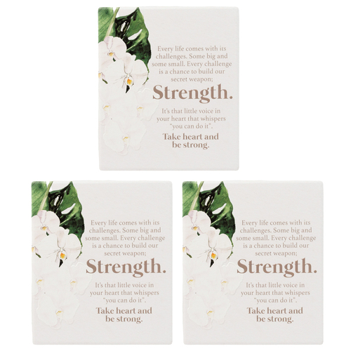 3PK Splosh Ceramic Greenhouse Strength Verse Plaque w/ Stand & Hook 12x14cm