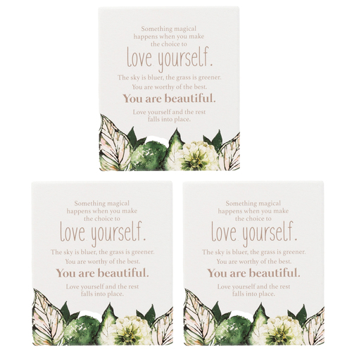 3PK Splosh Ceramic Greenhouse Self Love Verse w/ Stand & Hook 12x14cm