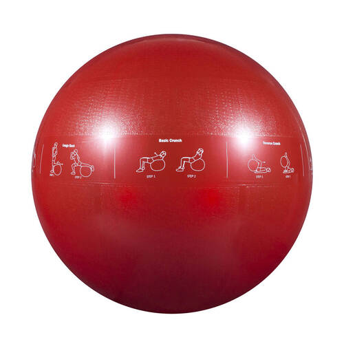 GoFit Pro Yoga Fitness Workout Exercise Balance Guide Ball 65cm Red