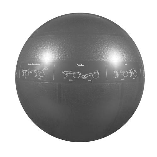 GoFit Pro Yoga Fitness Workout Exercise Balance Guide Ball 75cm Silver