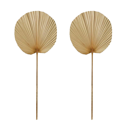 2PK E Style 96cm Fan Palm Dried Stem Decor - Natural