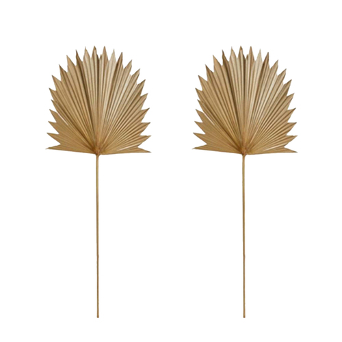 2PK E Style 96cm Sun Fan Palm Dried Stem Decor - Natural