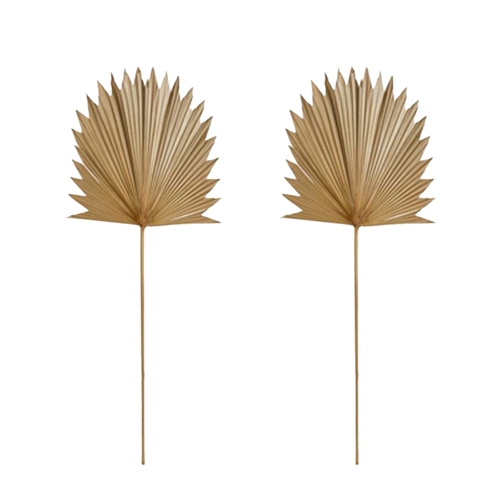 2PK E Style 96cm Sun Fan Palm Dried Stem Decor - Natural