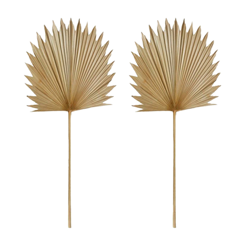 2PK E Style 103cm Sun Fan Palm Dried Stem - Natural