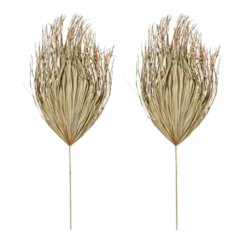 2PK E Style 130cm Palm Leaf Dried Stem Home Decor - Natural