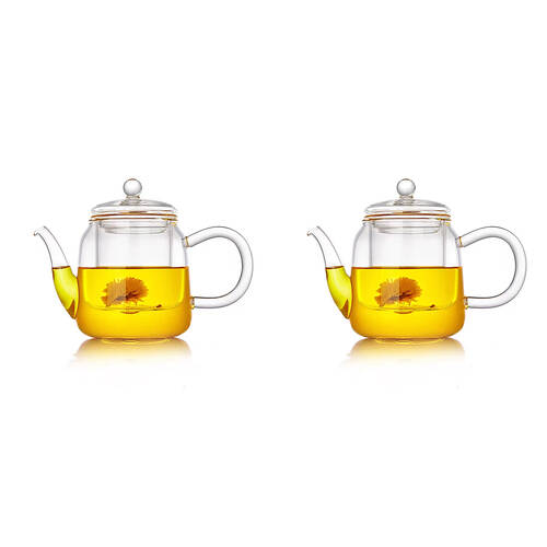 2PK NF Living Glass Teapot with Filter 500ml Handles 19x15cm Solid Clear