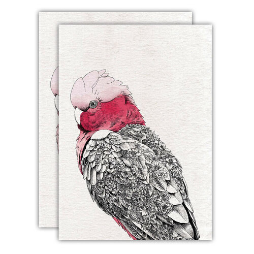 2PK Maxwell & Williams Marini Ferlazzo 50x70cm Birds Tea Towel - Galah