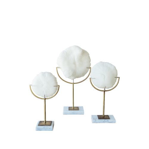 Darlin Resin/Metal 20x38cm Bloom Faux Coral on Stand Large White/Gold