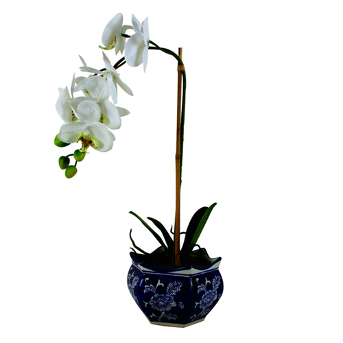 Maine & Crawford Hema 52cm Ginger Jar Ceramic w/ Potted Orchid - Indigo