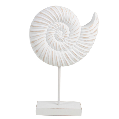 Maine & Crawford 7 Seas Wood 35cm Conch Shell On Stand - White