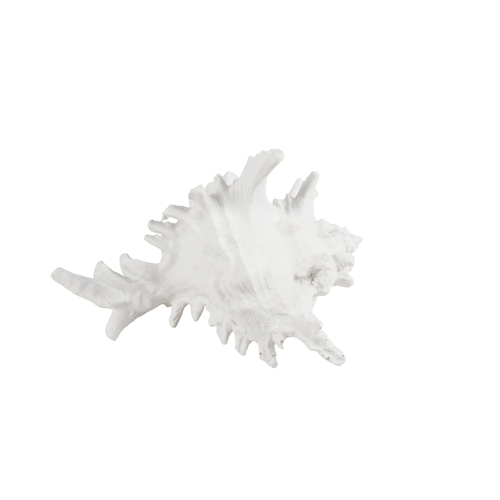 Maine & Crawford 7 Seas Resin 19cm Coral Ornament - White