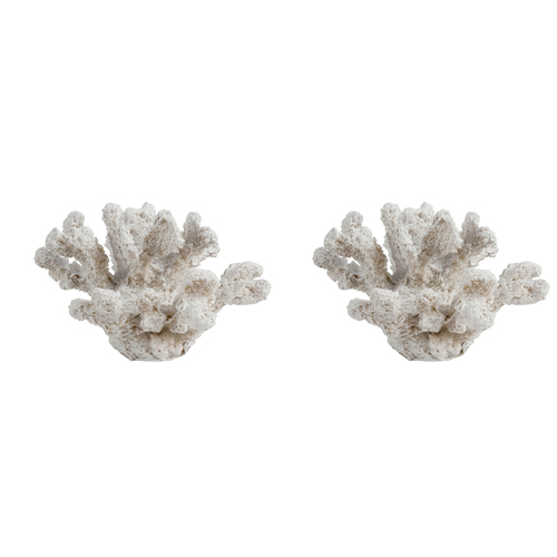 2PK Maine & Crawford 7 Seas Resin 13cm Shell Ornament - White