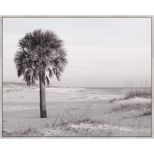 Rayell 80x100cm Framed Artwork Canvas Wall Art - Palm Beach