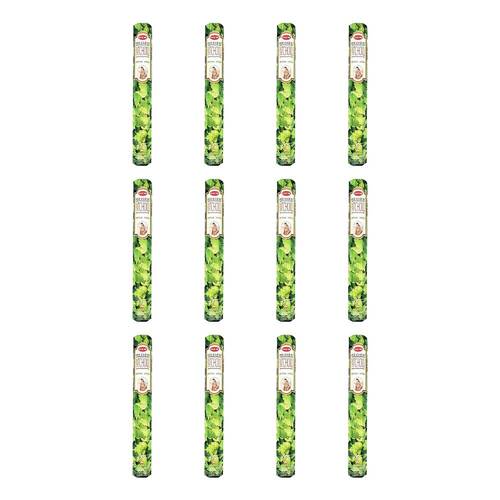 12x 20pc HEM Hexa Precious Patchouli Scent Incense Sticks Meditation Fragrance