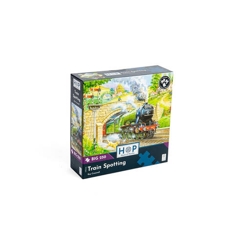 250pc House of Puzzles Board Train Spotting Jigsaw Puzzles Toys 48x34cm 3y+
