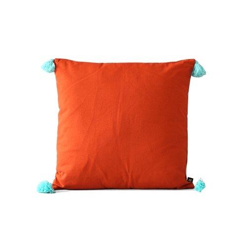 Rayell Kids 50x50cm Indoor Cotton Cushion - Burnt Red/Mint