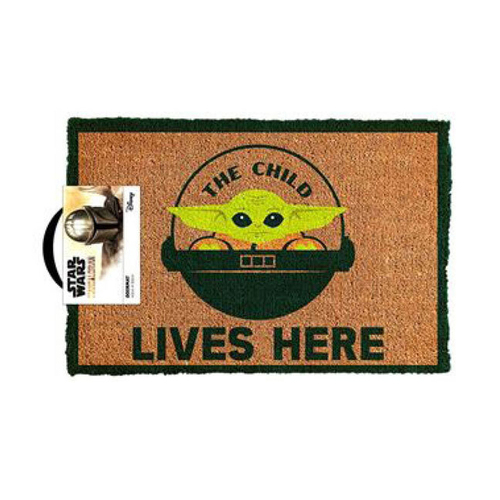 Star Wars The Mandalorian The Child Lives Here