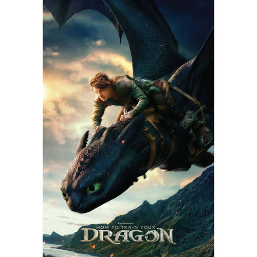 How To Train Your Dragon Live Action Regular Wall Poster/Print 61 x 91.5cm