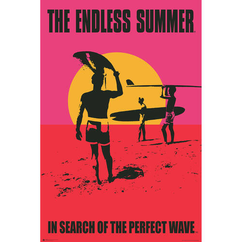 The Endless Summer One Sheet Regular Wall Poster/Print 61 x 91.5cm